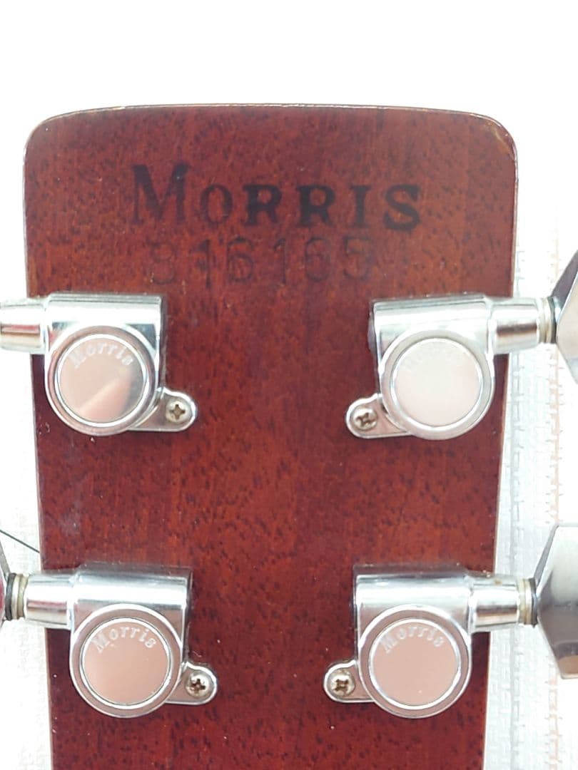 ナルト ギター Morris W-50 TF﻿