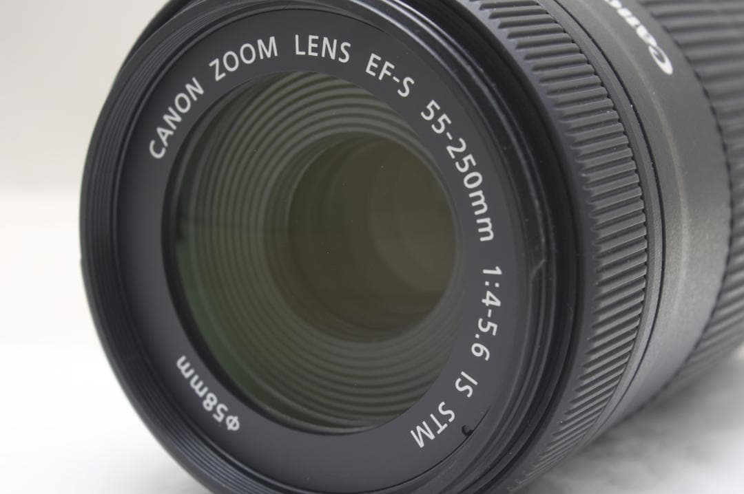 キヤノン EF-S 55-250mm F4-5.6 IS STM 5119