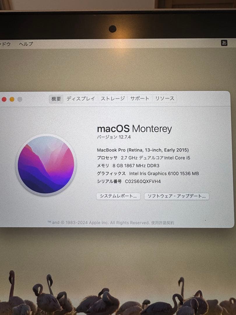 MacBook本体 MacBook Pro 2015 8GB/256GB