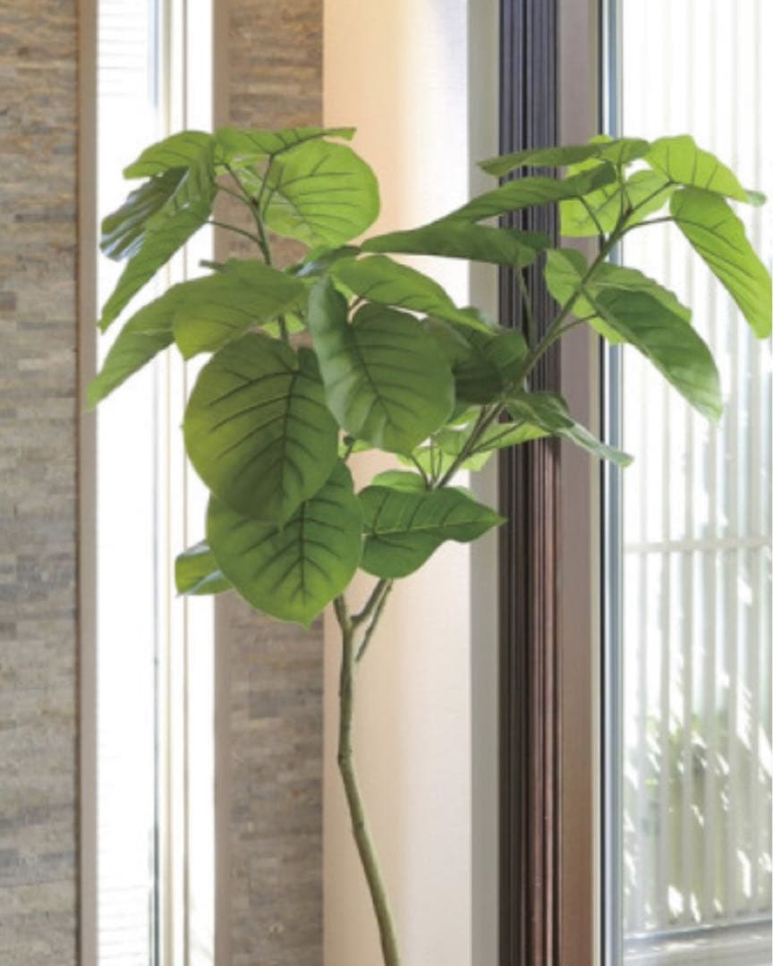 光触媒　人工観葉植物　フェイクグリーン　フレッシュアーバンウンベラータ1.8
