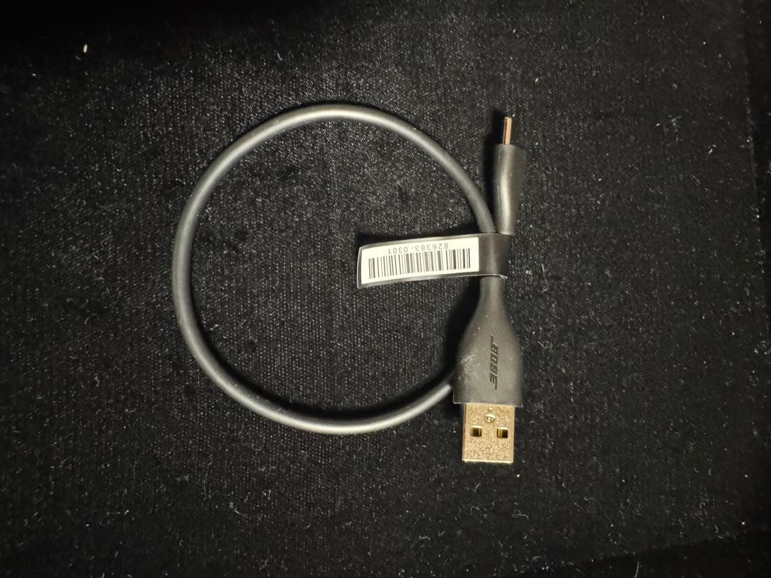 シナモンです。　Bose Open Earbuds Ultra