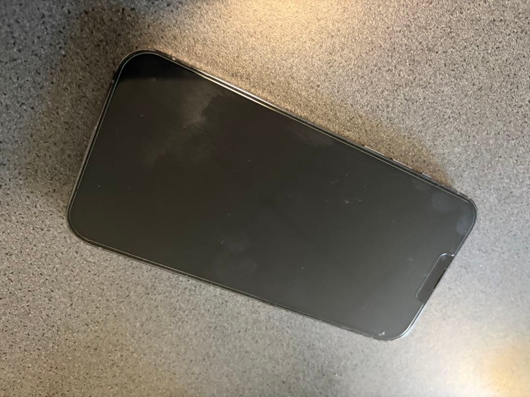 Apple iPhone 13 Promax シエラブルー　本体