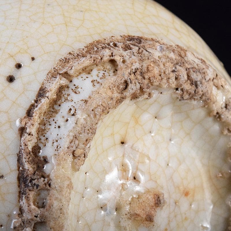 朝鮮美術　李朝　高麗白磁　盃　M　R7793