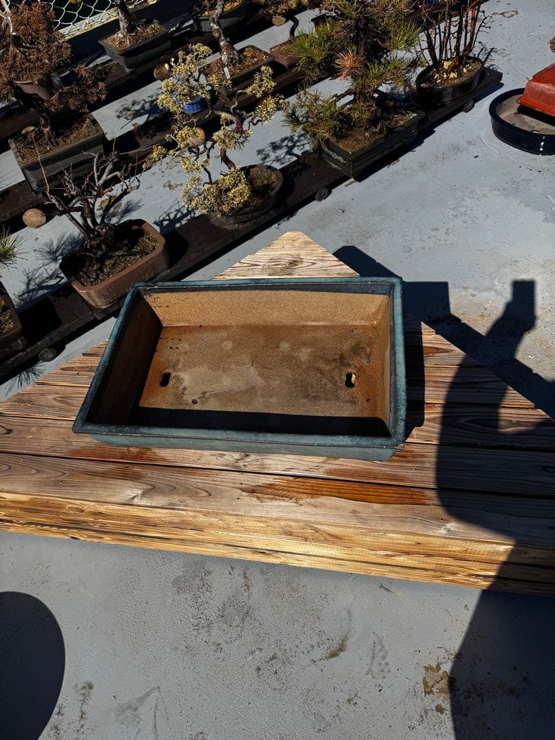 青色 陶器製 盆栽用鉢 22号