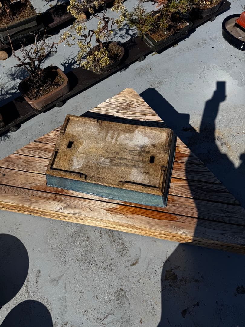 青色 陶器製 盆栽用鉢 22号