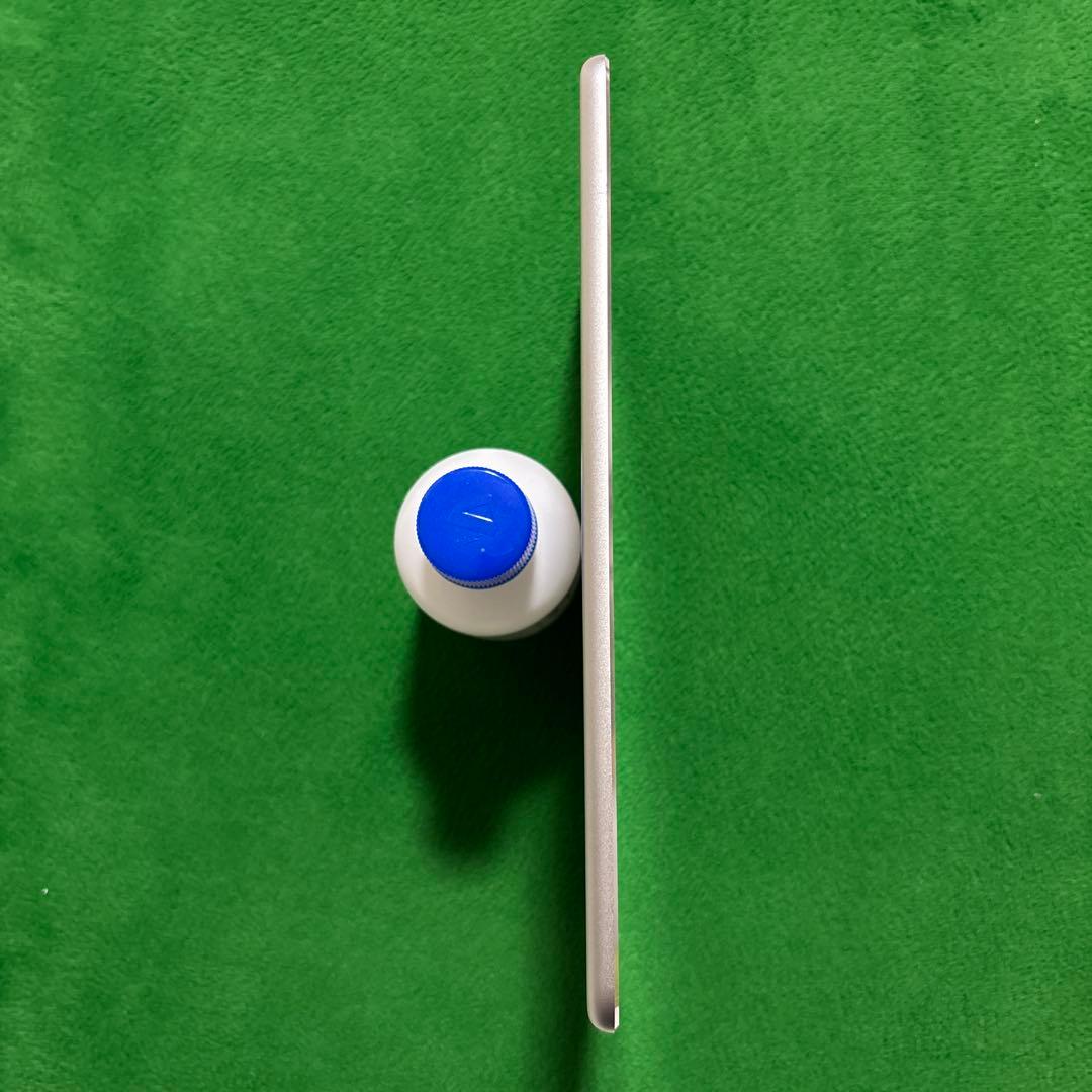 Apple iPad mini(第4世代)128GB