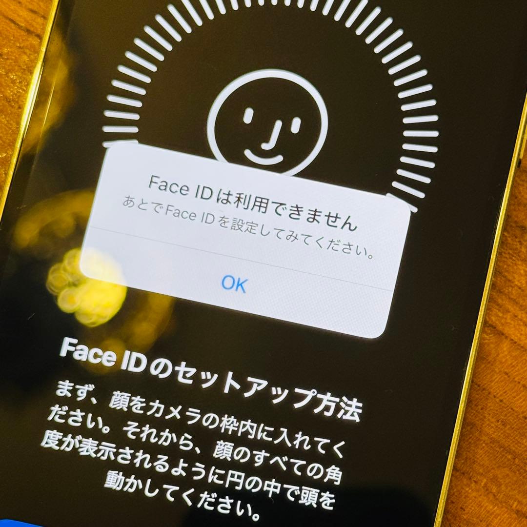 iPhone 12 Pro シルバー 256GB SIMフリー【訳あり特価】