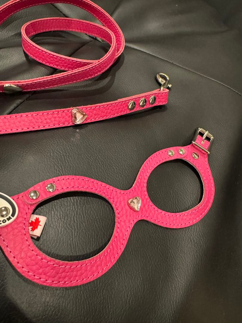 BB バディーベルト2 ピンク ハーネスリードセット