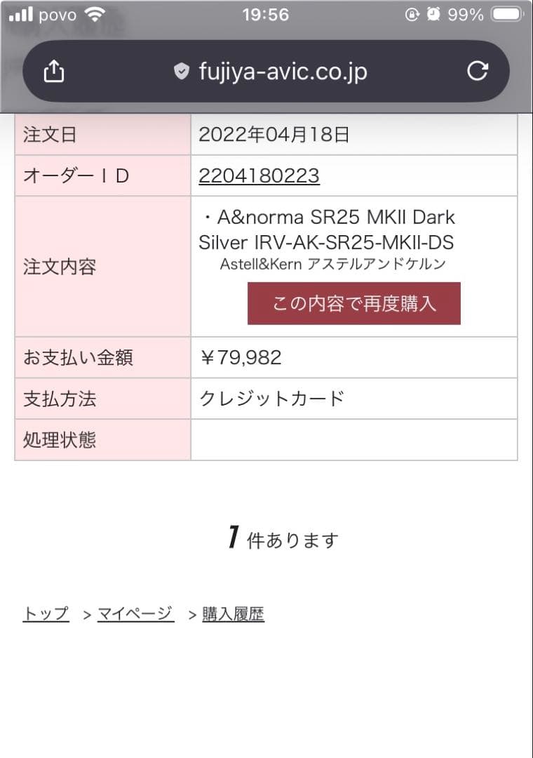 Astell&Kern A&norma SR25 MKII 純正ケース付