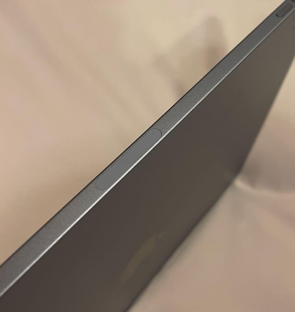 iPad Air4 cellular スカイブルー バッテリー96% ケース付き