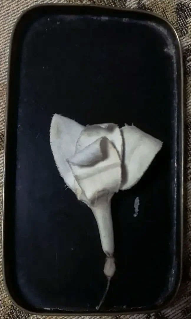 おまけ付❀アンティーク　オールビスクドールHertwig♪プチプレゼンテーション