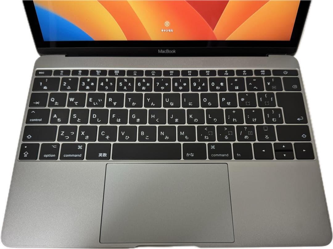 MacBook 12インチCoreM3/8GB/256GB A1534