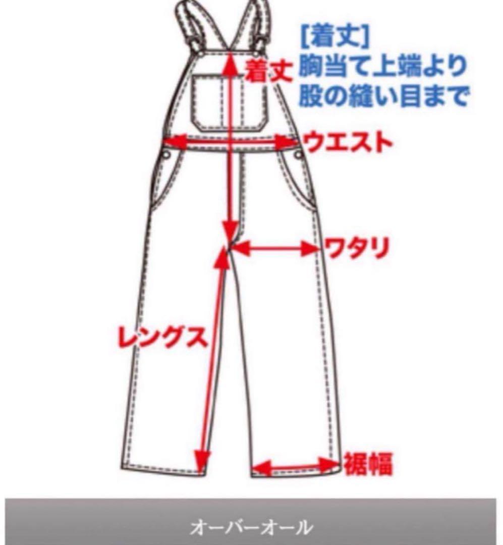 ★新品タグ付★ マウンテンマニア×フリークスストア オーバーオール デニム