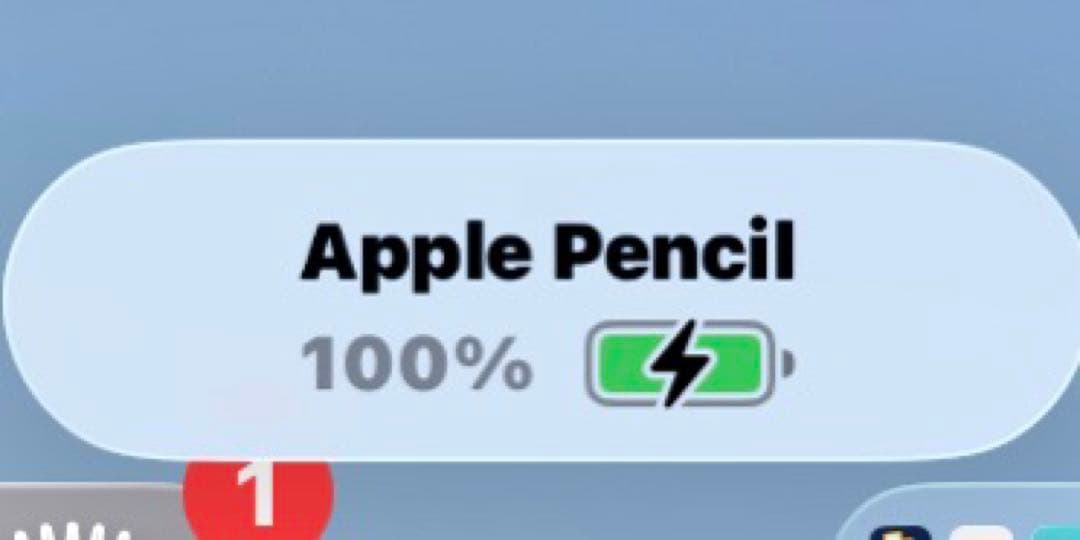 純正　Apple Pencil 第2世代とPencil Tips セット