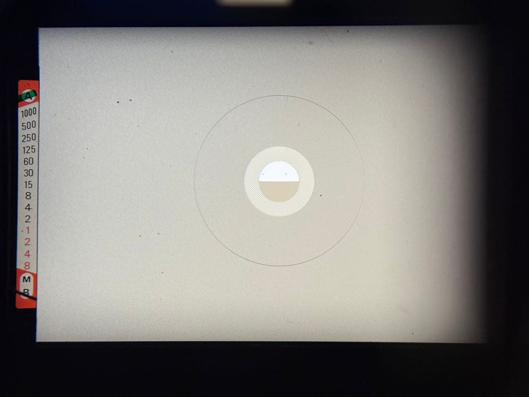 NIKON FE ブラック OH済み品