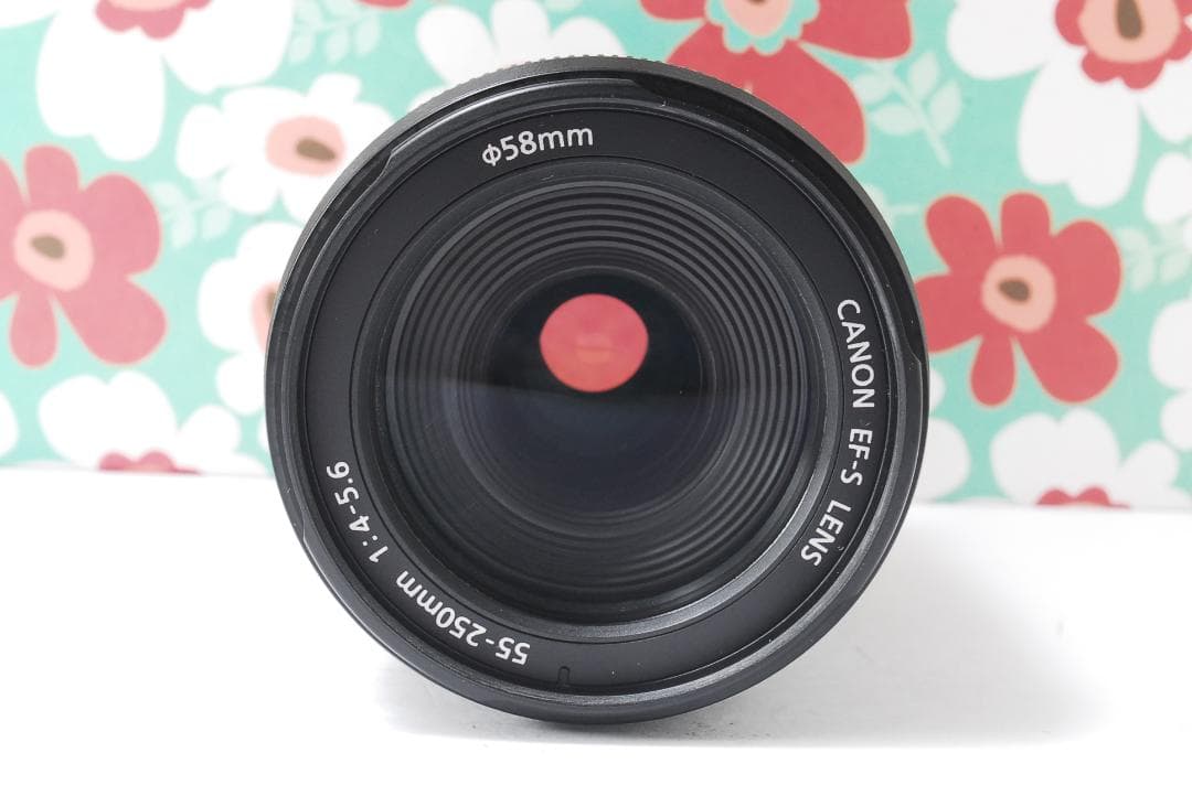 ❤Canon EF-S 55-250mm F4-5.6 IS❤手振れ補正❤望遠❤