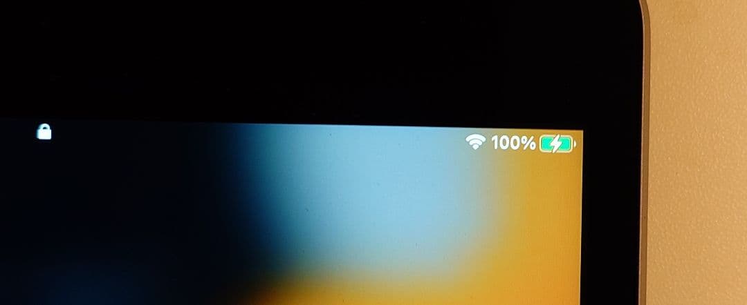 Apple iPad mini 4 Wi-Fi 128GB 整備済品 動作確認済