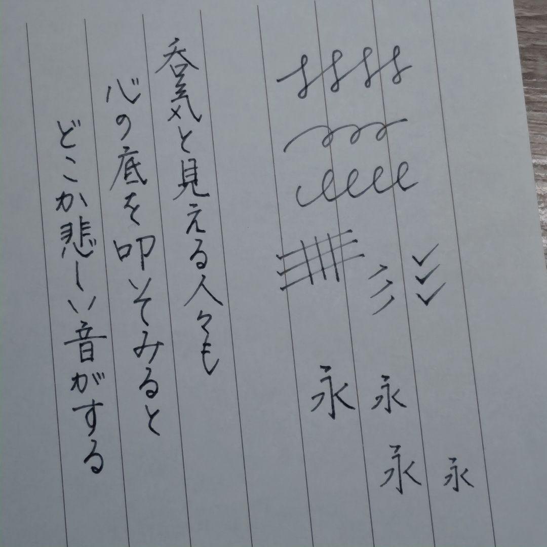 【カスタム】セーラー万年筆 プロフィットスタンダード 研磨済