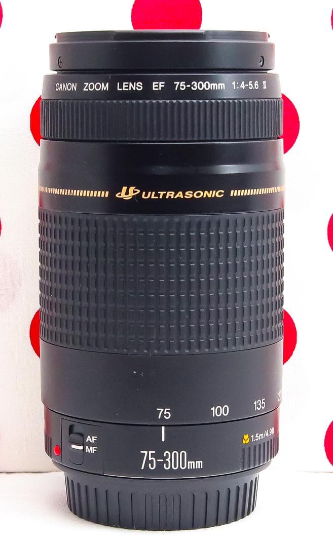 Canon EF 75-300mm USM❤超望遠レンズ❤マウントアダプター付き