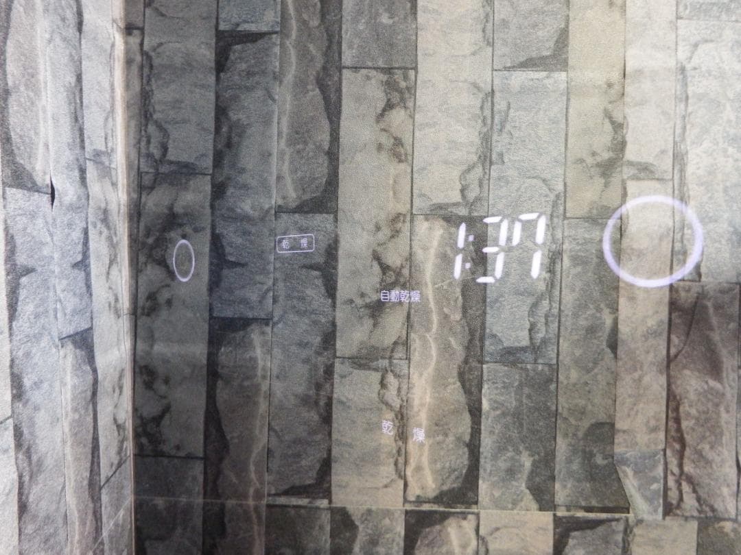 LG スタイラー S3MF ミラー 2021年 電気乾燥機 衣類ケア スチーム