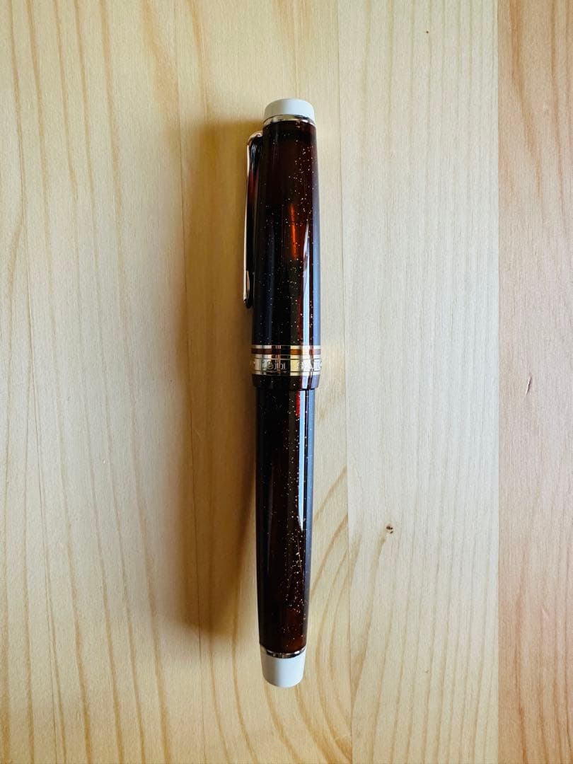 【Sailor 万年筆】カクテルシリーズ 「ブラックベルベット」F 未使用