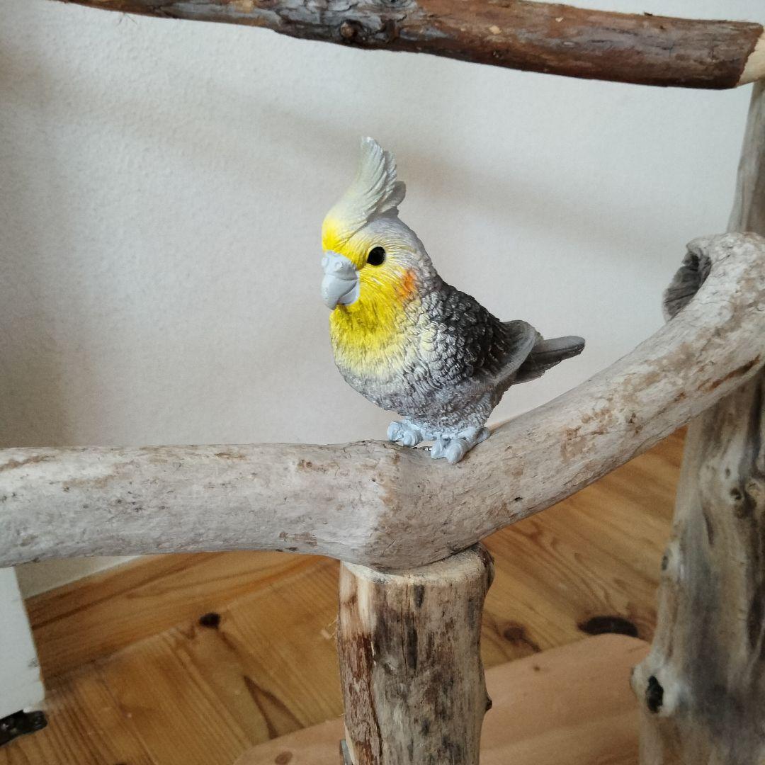 ocean バードアスレチックジム 天然木 自然木 流木 止まり木 インコ