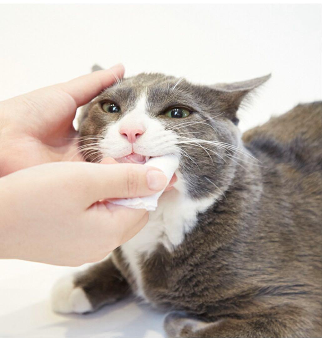 CRYSTALJOY クリスタルジョイ デンタルケアジェル×3