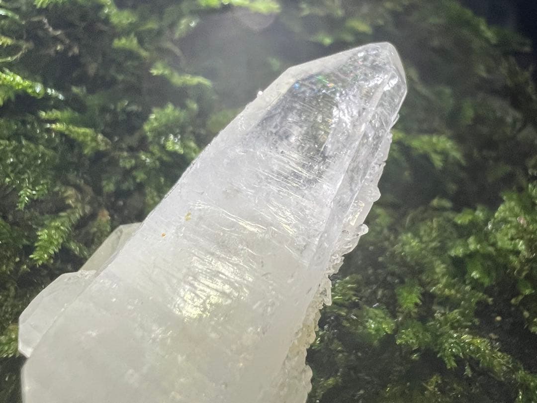 龍脈の精髄 九州産両剣水晶＋クラスター付き＋虹入り 【保護猫活動支援】