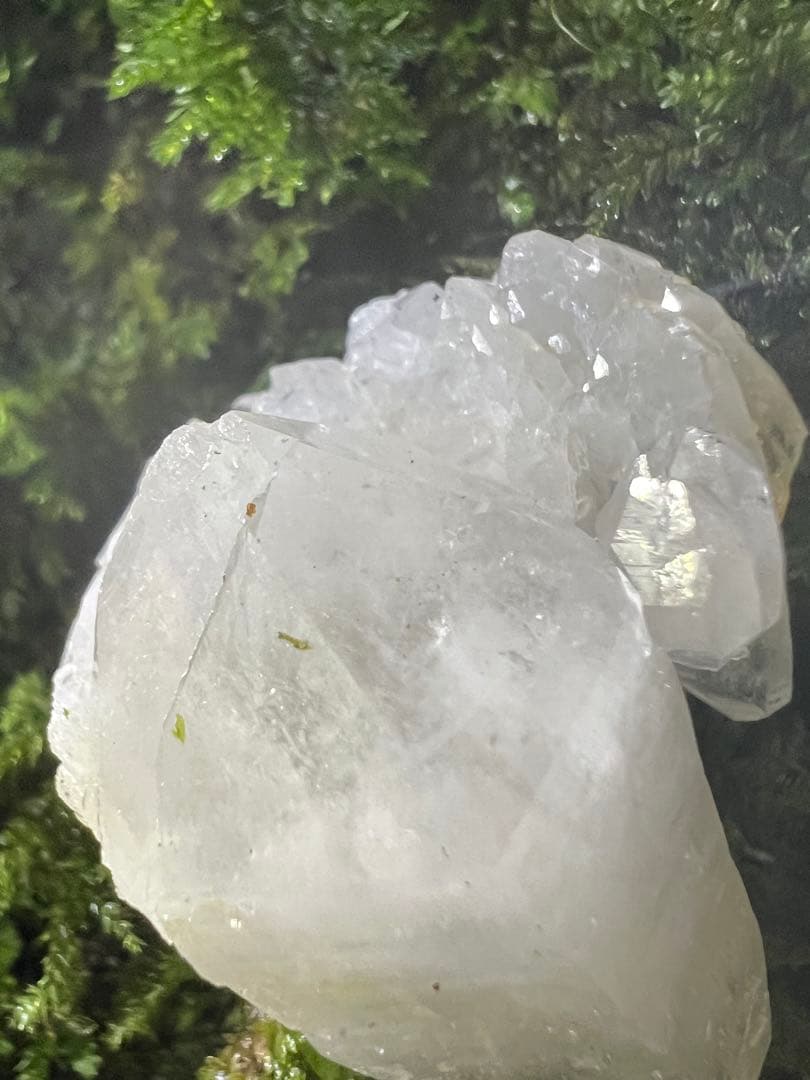 龍脈の精髄 九州産両剣水晶＋クラスター付き＋虹入り 【保護猫活動支援】