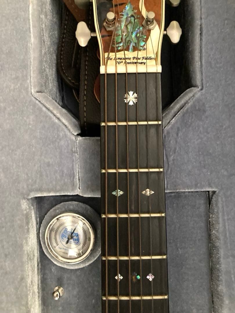 超レア、ヴィンテージギター ブルーリッジの限定モデル「BR-2060」価値有り‼️