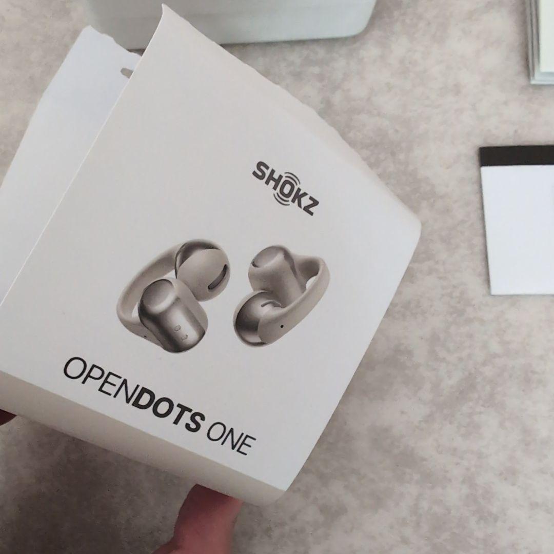 Shokz (ショックス) OpenDots ONE