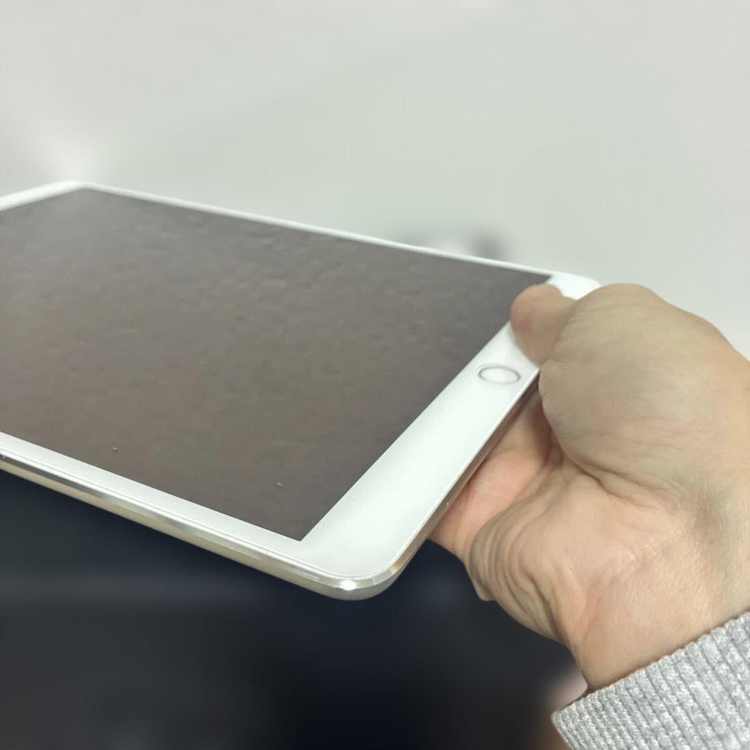 ジャンク★iPad Pro 10.5インチ 256GB/Appleペンシル付き