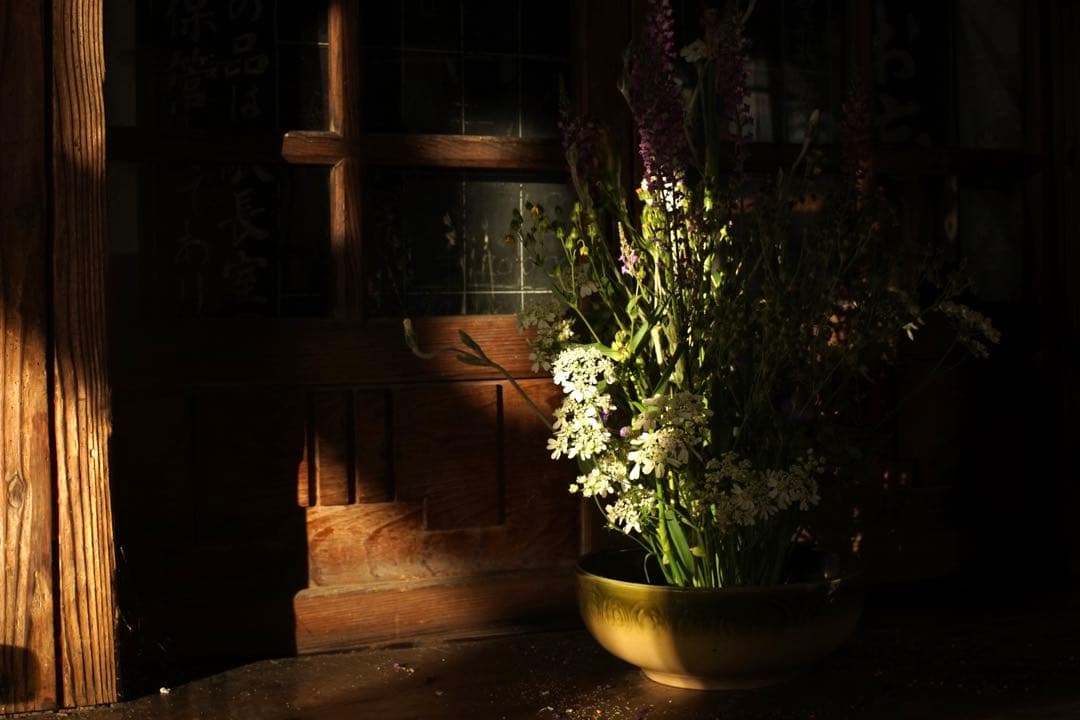 作例付き　NIKON NIKKOR SC AUTO 50mm F1.4 管mpr