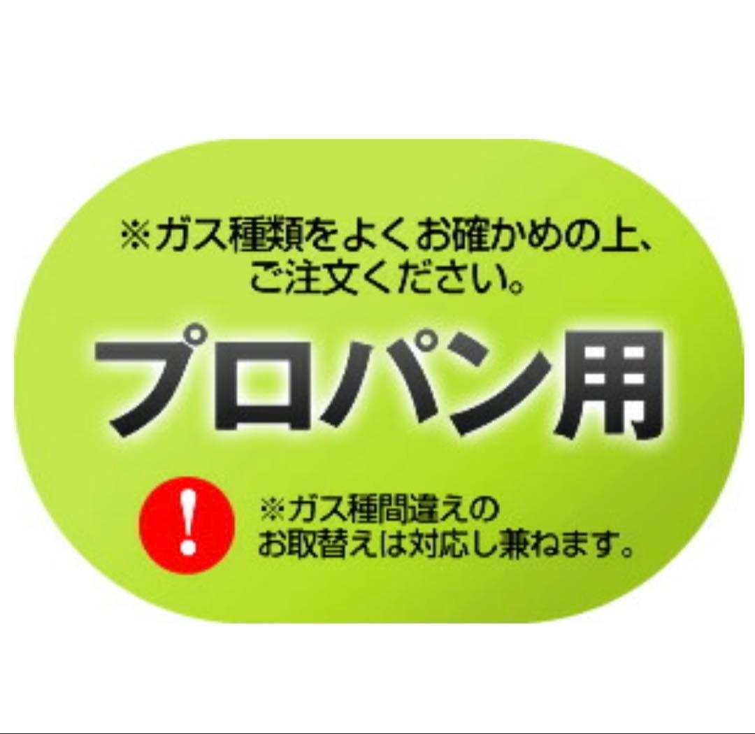 T*E様 リンナイ(Rinnai) 2024年製 業務用高速ガスオーブンRCK-