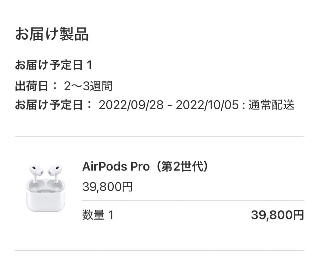 AirPods Pro 2 本体 USB充電ケーブル付き