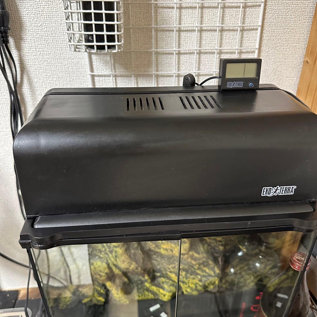 エキゾテラ　グラステラリウム3045 フルセット