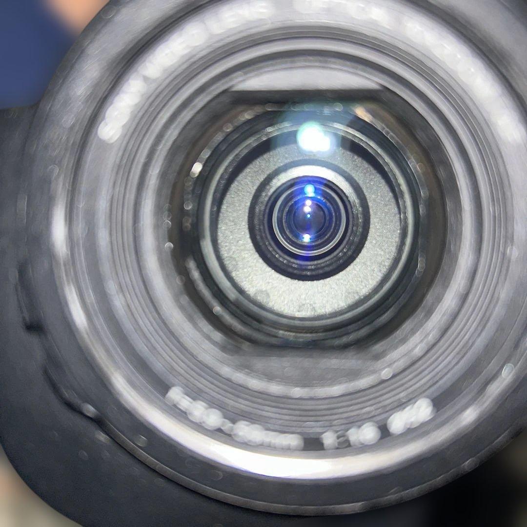 ビデオカメラ SONY DCR-VX1000