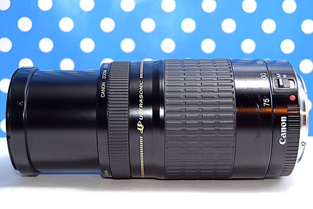 ❤️300mm超望遠レンズ❤️ CANON EF 75-300mm USM