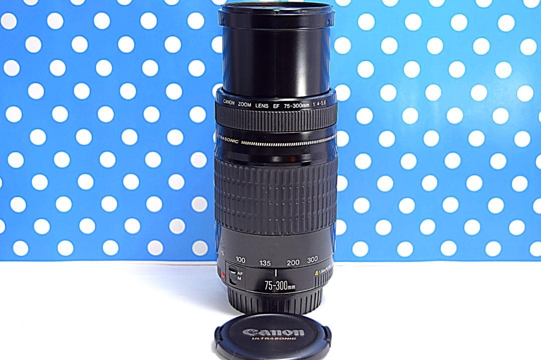 ❤️300mm超望遠レンズ❤️ CANON EF 75-300mm USM