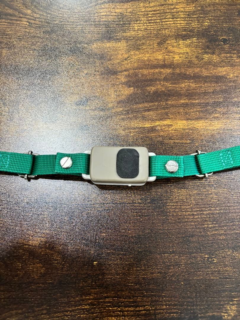 値下げ！イヌパシー　Sサイズ　グリーン