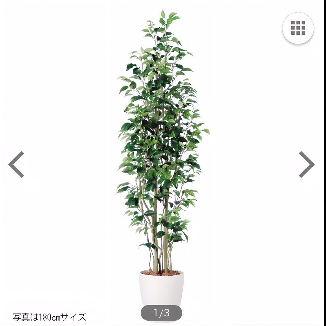 光触媒　人工観葉植物　ウォールグリーン　フェイクグリーン　ベンジャミンスリム15