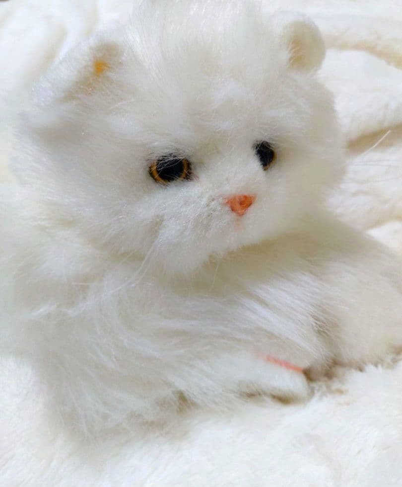 ペルシャ猫　入手困難　ヴィンテージ　廃盤　ペルシャ　ねこ　希少　アンティーク