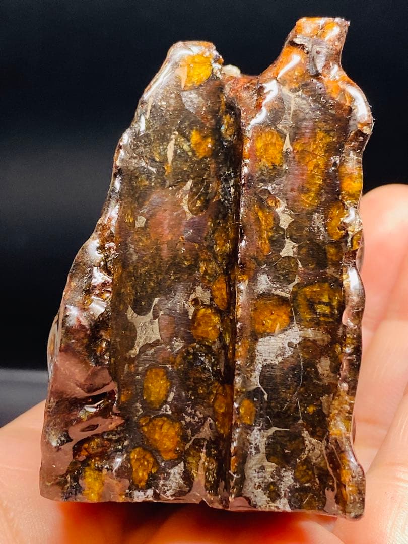 パラサイト隕石 258g 隕石 石鉄隕石 筆立て セリコ隕石 隕石原石