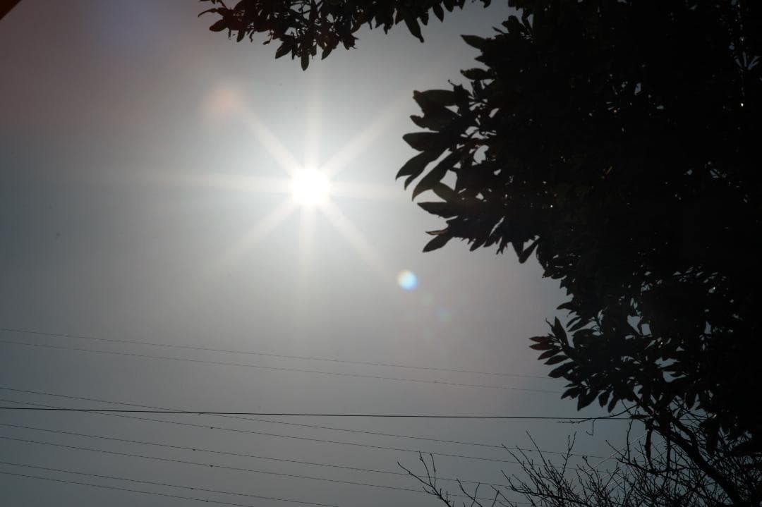 【整備＆テスト済】Canon New FD 85mm F1.8 520 109