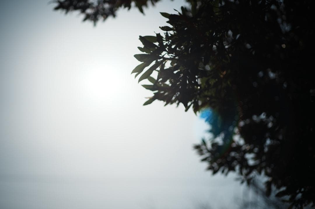 【整備＆テスト済】Canon New FD 85mm F1.8 520 109