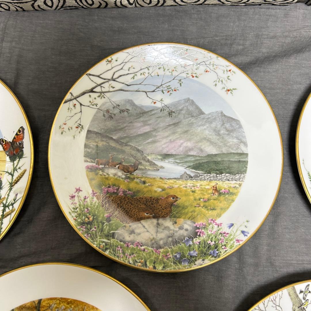 ロイヤルウースター 限定 プレート4枚セット 英国製 フランクリンポーセリン