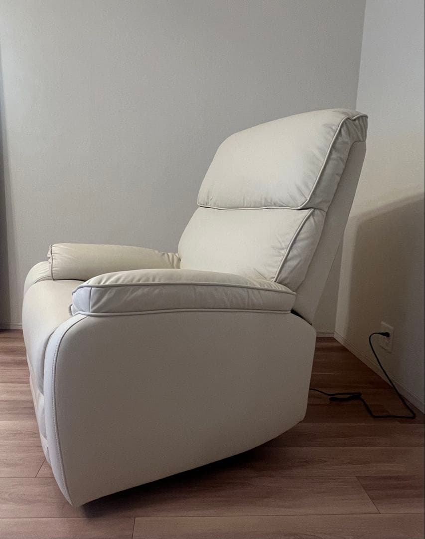 マユゲ犬　Flexispot 電動リクライニングソファ X5