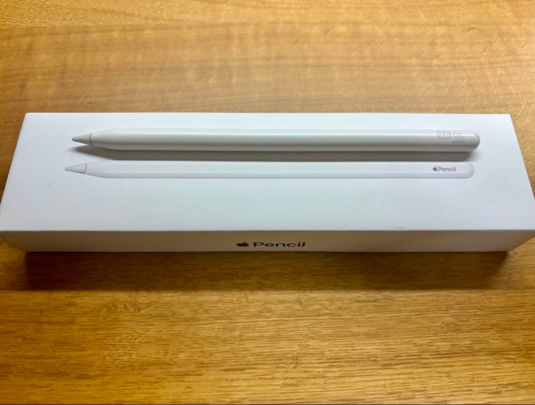 iPadPro12.9M1第5世代 256GB +Apple Pencil2