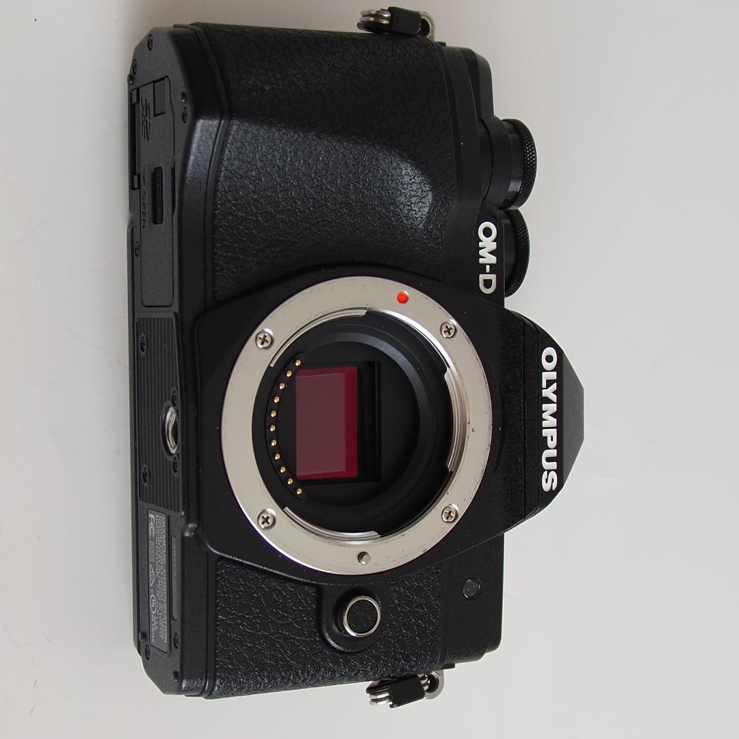yumiOLYMPUS OM-D E-M10 MarkIII ボディー