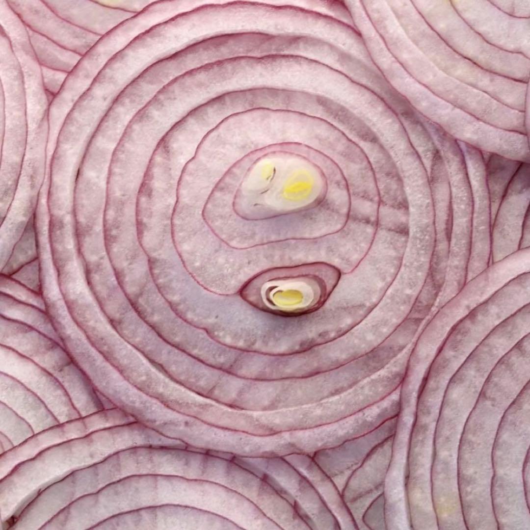 新品 Michel BRAS ミシェルブラス マンドリン スライサー